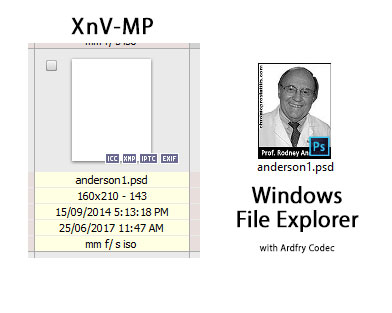 xnv1.jpg