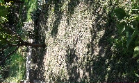 Embedded thumbnail (200×120)
