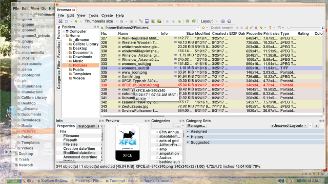 XnView opened to a file in file browser mode.
