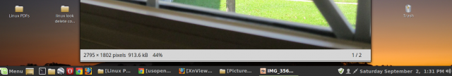 Here is the same picture, cropped, opened in xviewer.