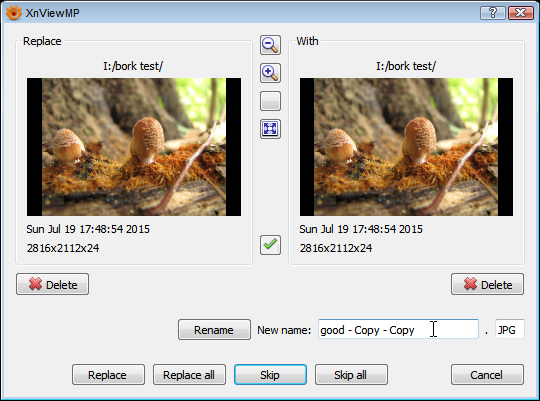 screenshot_xnviewmp_040.png