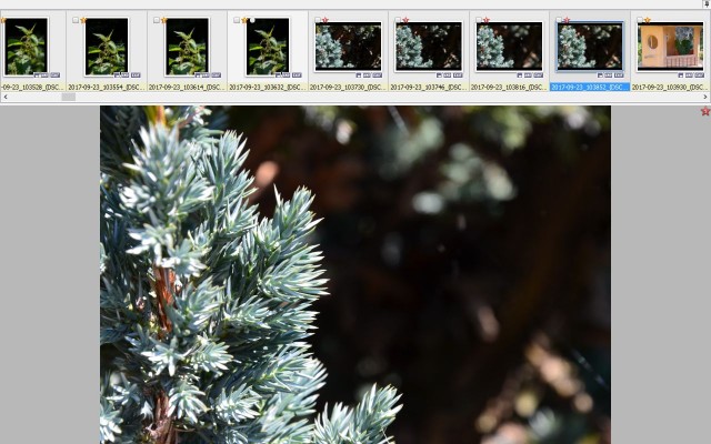 Sample - Strip showing a suite of image and the next to come, not part of the lot
