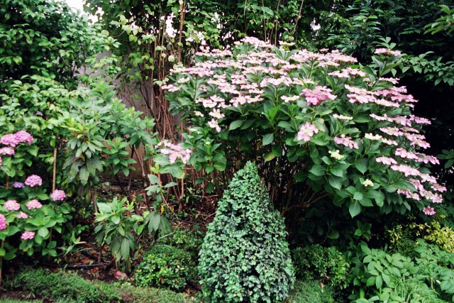 CD_11_17_23__26x26DPI.jpg