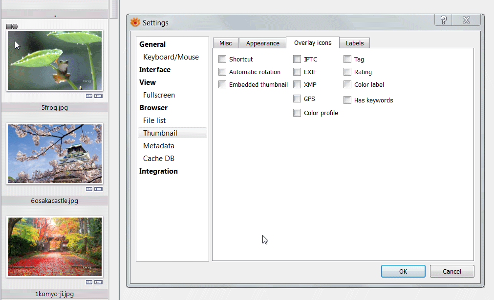 overlay_icons.png