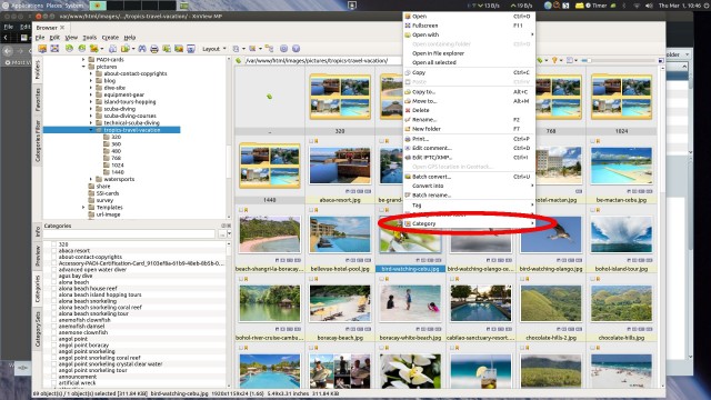 Selecting &quot;category&quot; with the right click