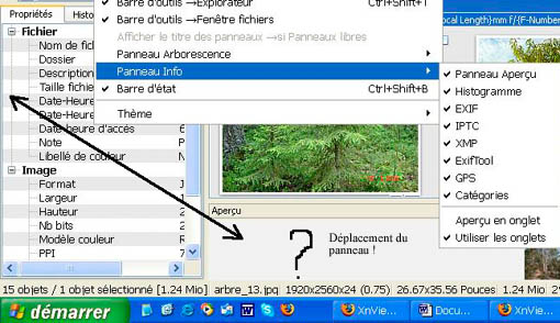 Les2decoches3 copie.jpg