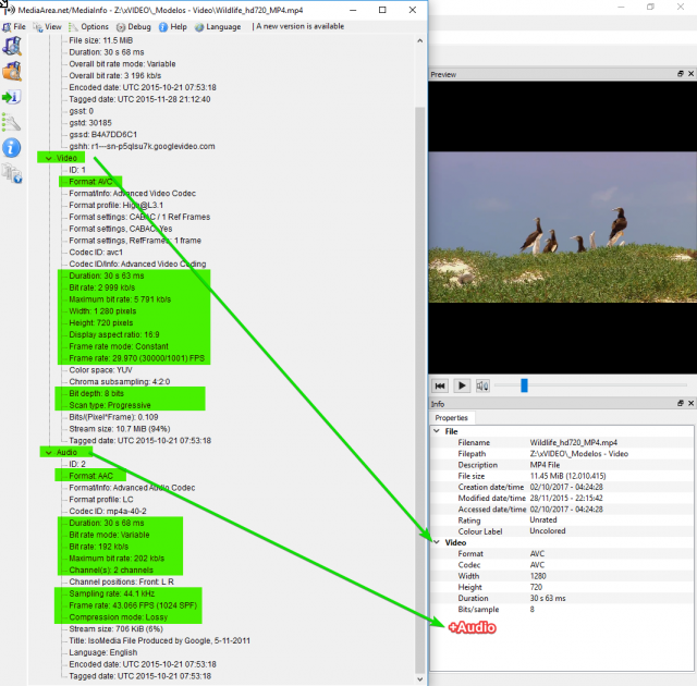 xnviewmp_2018-07-03_14-41-28.png