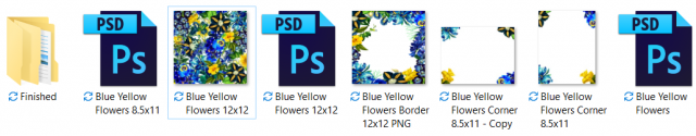 folder view.PNG