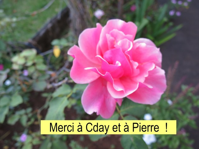 IMG_test.jpg