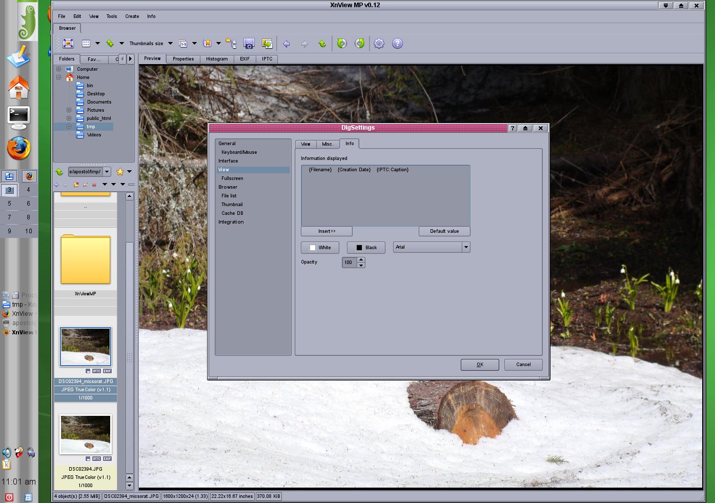 xnviewmp_v0.12_DlgSettings_on_Linux.jpg