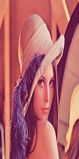 Lenna2x1.png