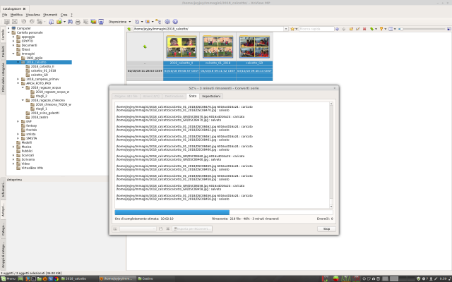 Note please the CPU graphics in lower right side. There is only one bar for only one CPU.