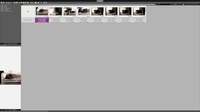 Screen Shot 2019-02-02 at 10.05.52.png