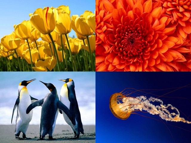 Result.jpg