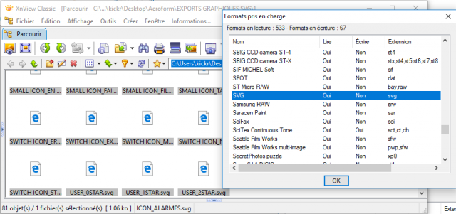 xnview and svg.png