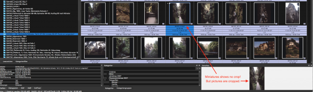 XnView wrong thumbnails3.png