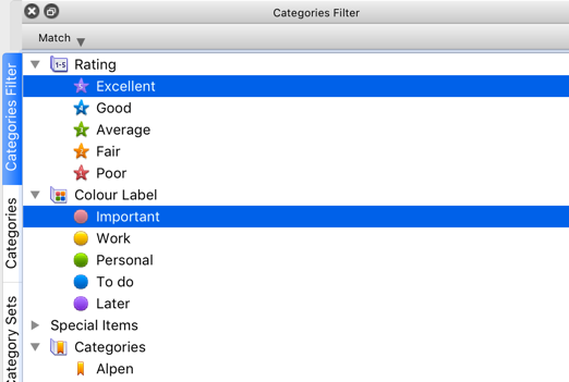XnView MP 0.93.1 - Categories Filter - bug.png