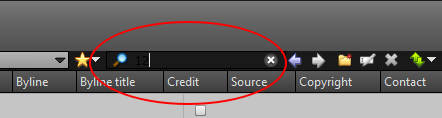 XnView Quick Search.jpg