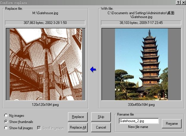 ACDsee same name file confirm replace dialog box