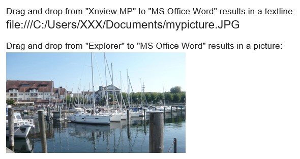 mypicture 1.jpg