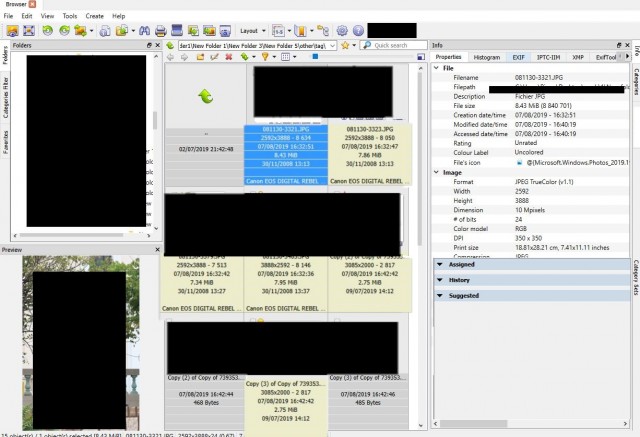 Layout.jpg