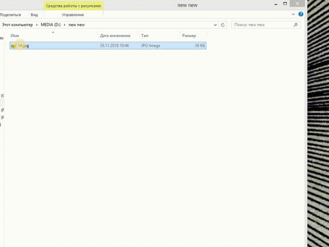 xnview.gif