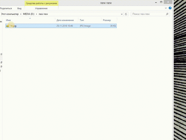 xnview-mp.gif