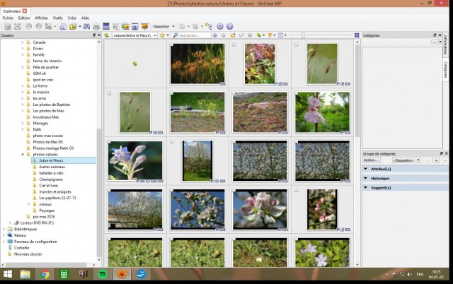 print-screen.jpg
