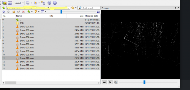 xnviewMP_videoPlayback.png