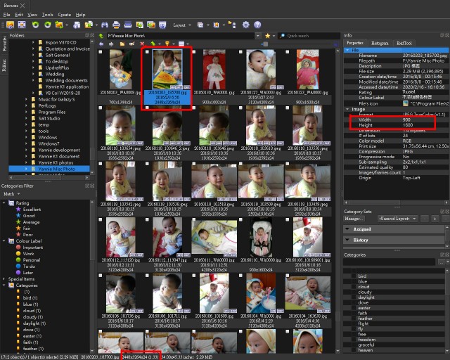 xnviewmp_screen_capture_20200216.jpg