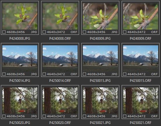 Thumbnail 02.JPG