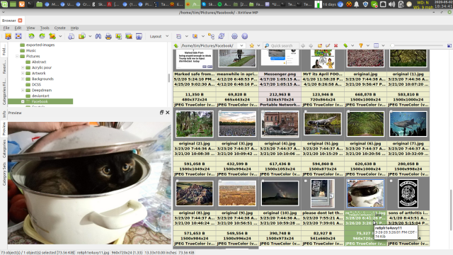 XnView bug -  imgur 780HuGw.png