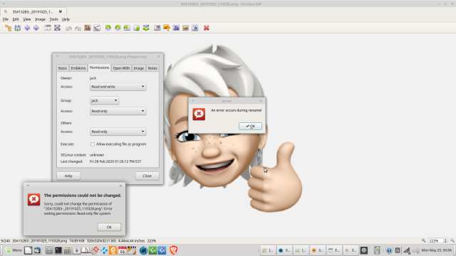 Screenshot of XNView MP error 2.png