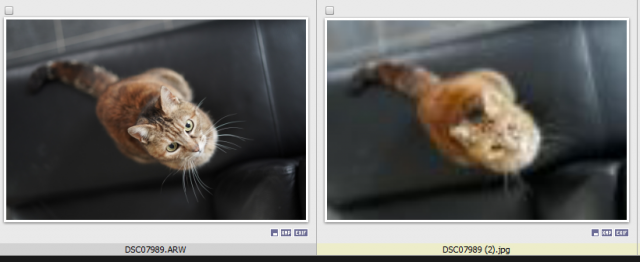 xnview-dxo.png