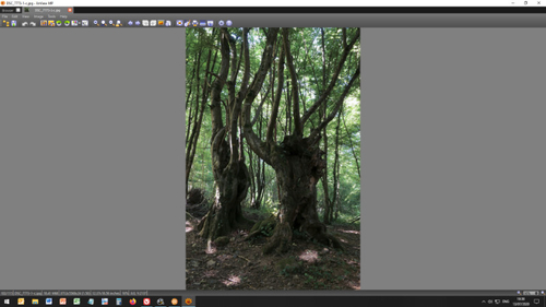 XNView_padding 01-b.jpg