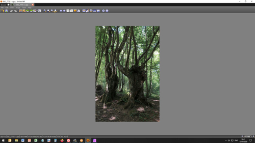 XNView_padding 02-b.jpg
