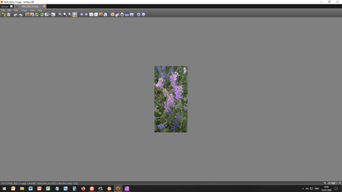 XNView_padding 03-b.jpg