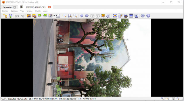 2020-08-18 23_11_38-RAW-files (.CR3) from new Canon 90D not working - Page 2 - XnView Software - [ht.png