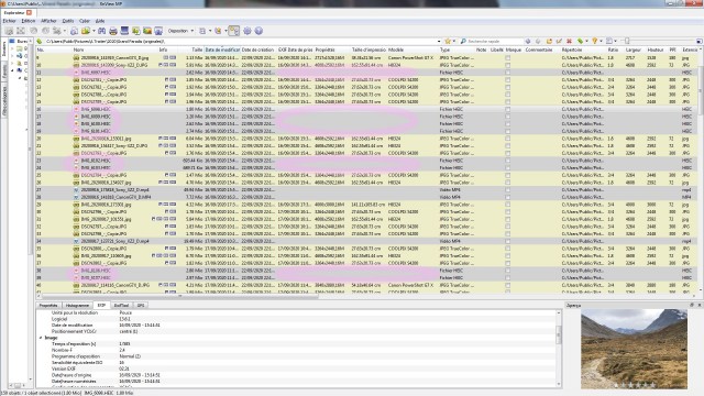 Sample browser (details) screen showing the EXIF data at the bottom but fields in the list are empty.
