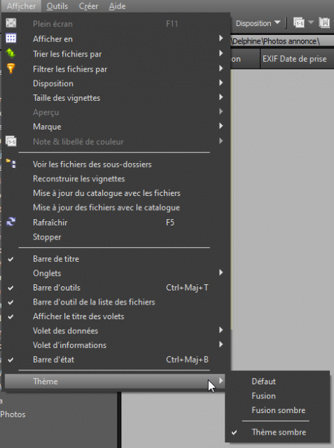 XnView MP_View Theme.png
