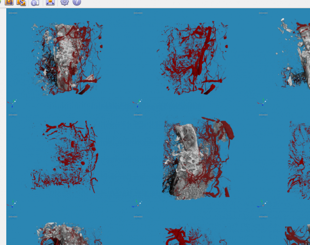 Screenshot_2021-01-16-20-23-47.png