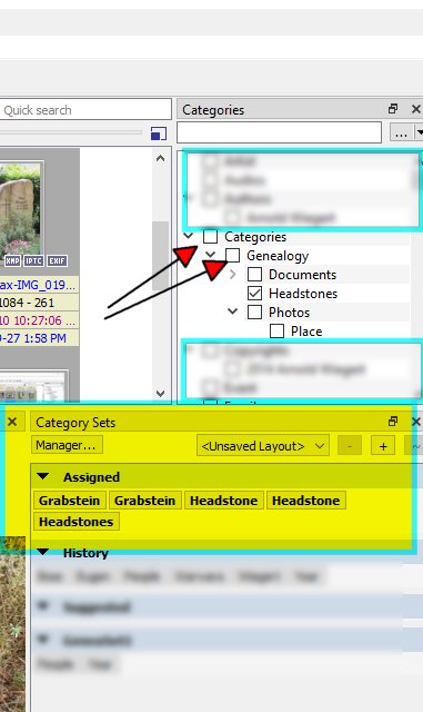 xnviewmp_categories-4.jpg