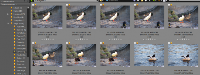 Screenshot 2021-03-01 114523.png
