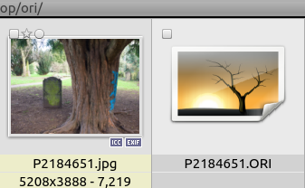 screenshot_20210305-133456.png