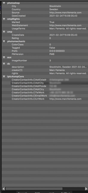 screenshot of the XMP metadata tab