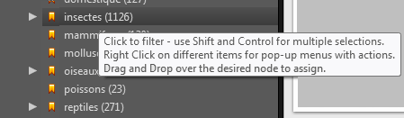tooltip.png