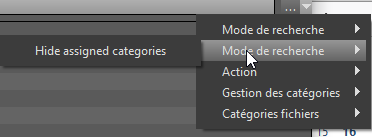 Recherche_Hide Assigned Categories.png