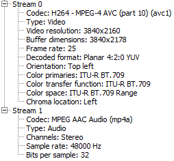 CodecInfo.png