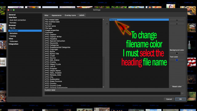 XnViewe Filename Color change.jpg