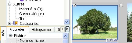 Marque1.jpg